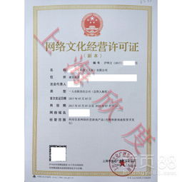 上海网络文化经营 风口上的守正与创新